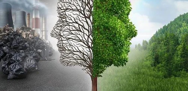 Экологическая безопасность | Профессиональная ...