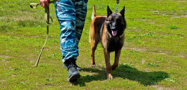 Безопасные методы и ...