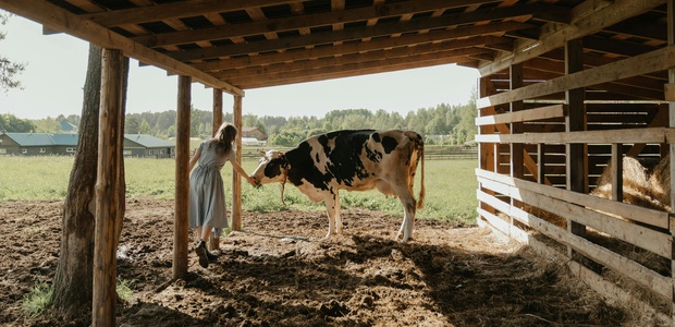 Животноводство