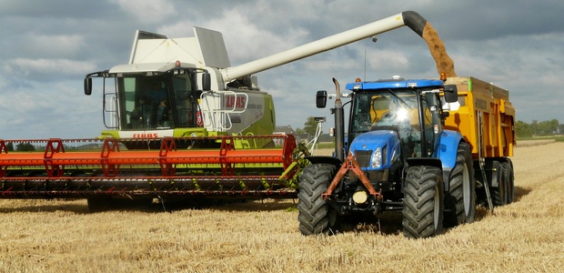 Сельское хозяйство