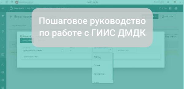 Пошаговое руководство по работе с ГИИС ДМДК