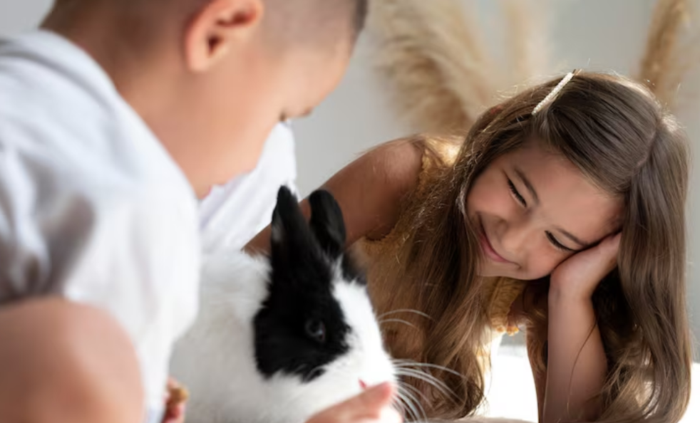 Анималотерапия: где пройти переподготовку, получить профессию и диплом дистанционно, зарплата и перспективы работы